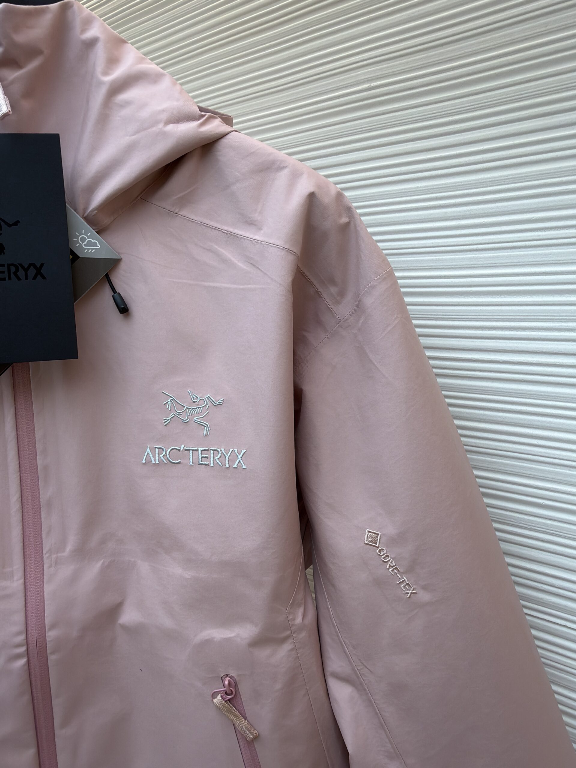 wsxc1761230165101_4